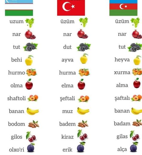 Azerbaijani Language, Uzbek Language, Farewell Words, Cute Toothless, Words In Different Languages, Instagram Ios, Turkic Languages, Learn Turkish Language, Language Families