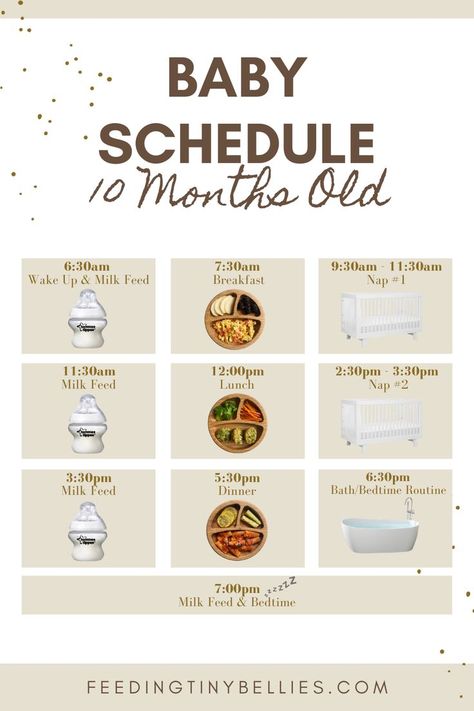 Baby Schedule - 10 Months Old Bottle Schedule For 10 Month Old, 5 Month Old Routine, 9month Old Schedule, 10 Month Old Routine, 2 Month Old Eating Amount, 5 Month Food Schedule, 10 Month Old Schedule Feeding, 9 Month Old Routine, 10 Month Old Food Schedule