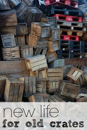 Turn old wooden crates into beautiful furnishings. Old Crates Repurposed, Repurposed Crates Diy Ideas, Old Milk Crate Ideas Decor, Old Wooden Crate Ideas, Ideas For Wooden Crates, Old Crate Ideas Decor, Wooden Milk Crate Ideas, Vintage Crates Ideas, Potato Crates Ideas