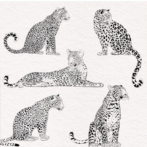 Cheetah Laying Down Drawing, Leopard Outline Tattoo, Amur Leopard Tattoo, Sitting Leopard Tattoo, Cheetah Laying Down, Leopard Fine Line Tattoo, Panther Tattoo Fine Line, Big Cat Tattoo For Women, Jaguar Back Tattoo