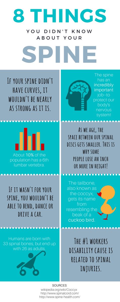 8 Things You Didn't Know about Your Spine. WellnessQuestChiropractic.com King of Prussia, PA 610-640-9355 #TopDoc in #KoP Osteopathy Quotes, Chiropractic Infographic, Spine Quotes, Chiropractic Benefits, Chiropractic Art, Facts Infographic, Chiropractic Quotes, Chiropractic Marketing, Chiro Office