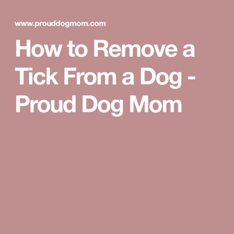 How to Remove a Tick From a Dog - Proud Dog Mom Tick Removal Dog, Wood Tick, Get Rid Of Ticks, Dogs Ears Infection, Deer Ticks, Tick Removal, Ticks On Dogs, Tick Bite, Dog Essentials