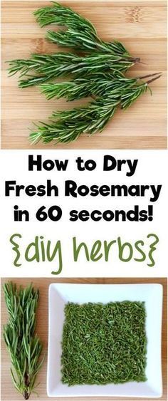 Herbs Preserving, Herb Tips, Homegrown Herbs, Drying Fresh Herbs, Preserving Herbs, Frugal Girls, Herb Recipes, Homemade Spices, Homemade Seasonings