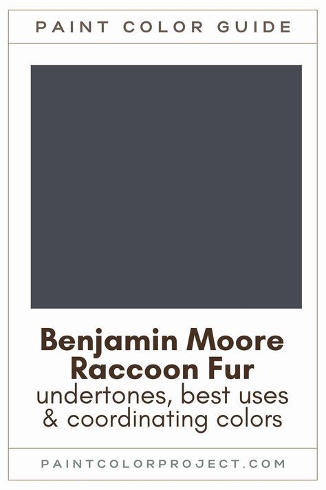 Benjamin Moore Raccoon Fur paint color guide Raccoon Fur Paint Benjamin Moore, Raccoon Fur Paint Color, Benjamin Moore Raccoon Fur Exterior, Bm Raccoon Fur, Raccoon Fur Benjamin Moore Exterior, Raccoon Fur Benjamin Moore, Benjamin Moore Raccoon Fur, Benjamin Moore Paint Colors Gray, Pathway Design