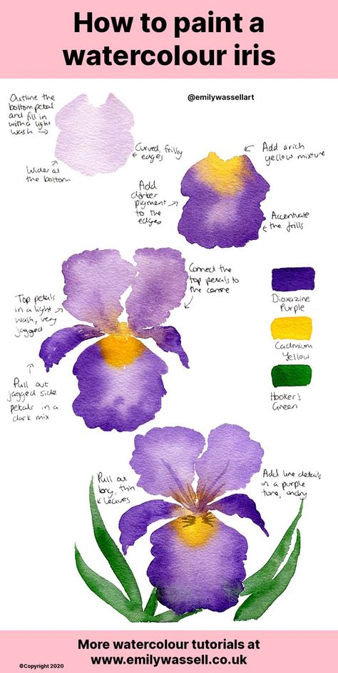 Watercolour Iris, Hur Man Ritar Blommor, Watercolor Iris, Watercolour Tutorial, Iris Painting, Learn Watercolor Painting, Watercolor Beginner, Watercolor Flowers Tutorial, Illustration Simple