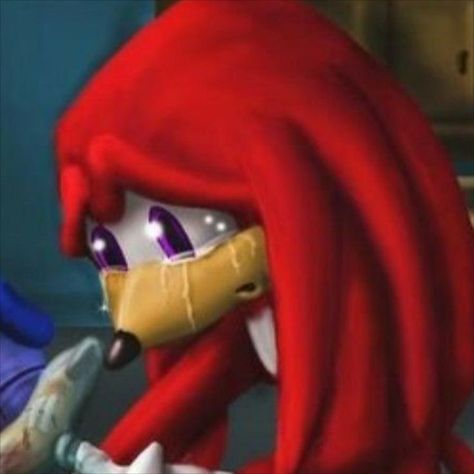 sonic and knuckles matching icons Sonic And Knuckles, Sonic & Knuckles, Best Friend Match, 2013 Swag Era, Duos Icons, Sonic Funny, Sonic Fan Characters, Just Give Up, Roblox Funny