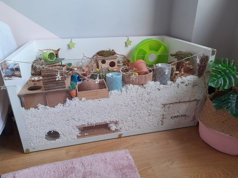 Hamster cage Linmon Ikea Hamster Cage, Preppy Hamster Cage, Ikea Linnmon Hamster Cage, Pawhut Hamster Cage Set Up, Hamster Cage Ideas Diy Bin, Aesthetic Hamster Cage, Ikea Hamster Cage, Hamster Cage Ideas Aesthetic, Snake Bedding