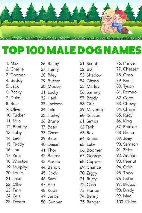 Super gut Top 100 Female Dog Names, Cute Pet Names Animals, Names For Girl Dogs, Puppy Names Female, Cat Names Girl, Dog Names Girl, Puppies Names Female, Piscina Container, Top Dog Names