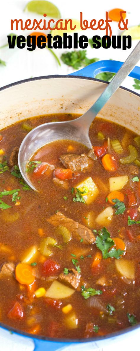 MEXICAN BEEF AND VEGETABLE SOUP is a family-favorite loved by all! This soup tastes like it's simmered all day, but only takes 30 minutes from start to finish! via @realhousemoms Mexican Vegetable Soup, Mexican Beef Soup, Beef And Vegetable Soup, Vegetable Soup Crock Pot, Mexican Vegetables, Beef Soup Recipes, Mexican Beef, Mexican Soup, Vegetable Beef Soup