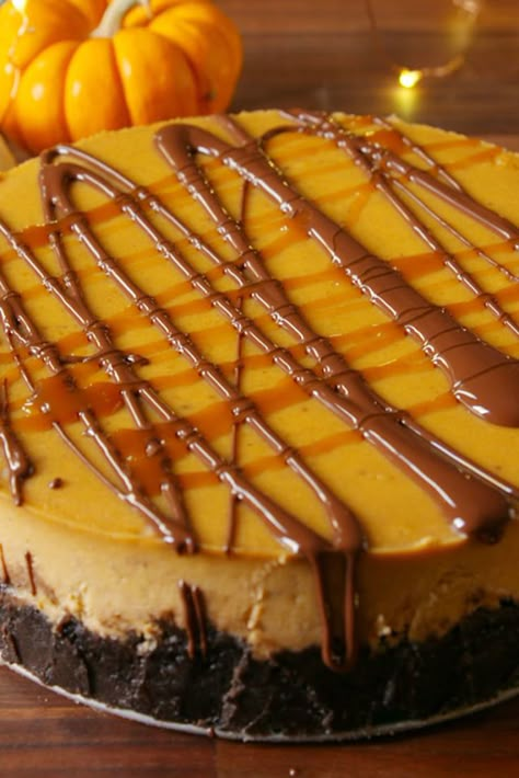 Chocolate Pumpkin Cheesecake Pumpkin Cheesecake Oreo Crust, Pumpkin Cheesecake Chocolate Crust, Pumpkin Cheesecake Caramel, Chocolate Chip Pumpkin Cheesecake, Pumpkin Cheesecake With Chocolate Crust, Pumpkin Chocolate Chip Cheesecake, Cheesecake Recipes Oreo Crust, Pumpkin Cheesecake With Oreo Crust, Carmel Pumpkin Cheesecake