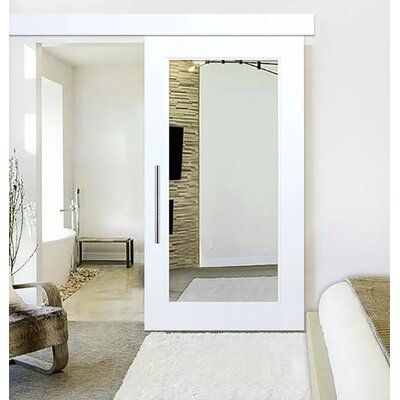 Mirror door design