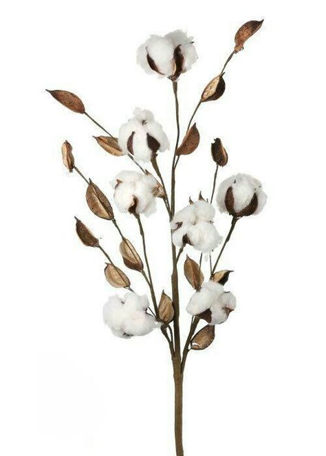 Cotton Bouquet, Cottage Cozy, Leopard Print Wallpaper, Cotton Stems, Cotton Plant, Animal Print Wallpaper, Image Nature, Farmhouse Ideas, Diy Wedding Bouquet