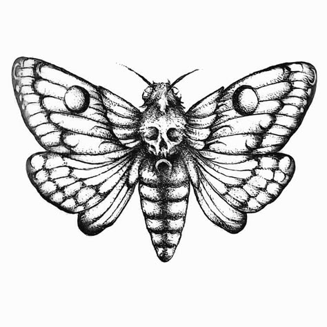 Gotik Tattoo, Moth Drawing, Moth Tattoo Design, Web Tattoo, Bug Tattoo, Insect Tattoo, Moth Tattoo, Spooky Tattoos, Gothic Tattoo