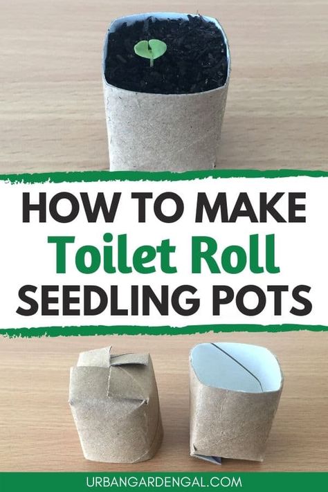 Toilet roll pots are a fun garden project for kids. Here's how to upcycle toilet rolls into seedling pots. #pots #planters #upcycled Toilet Roll Plant Pot, Toilet Roll Planters, Toilet Paper Roll For Seedlings, Toilet Paper Roll Planters, Paper Seedling Pots, Starting Seeds In Toilet Paper Rolls, Toilet Paper Roll Planter Seed Starting, Planting Seeds In Toilet Paper Rolls, Recycled Planters Upcycling