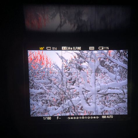 Winter Digital Camera, Snow Film, Camera Aesthetic, Fever Dream, Photography Winter, Aesthetic Winter, Winter Photo, Winter Photos, Chilly Weather