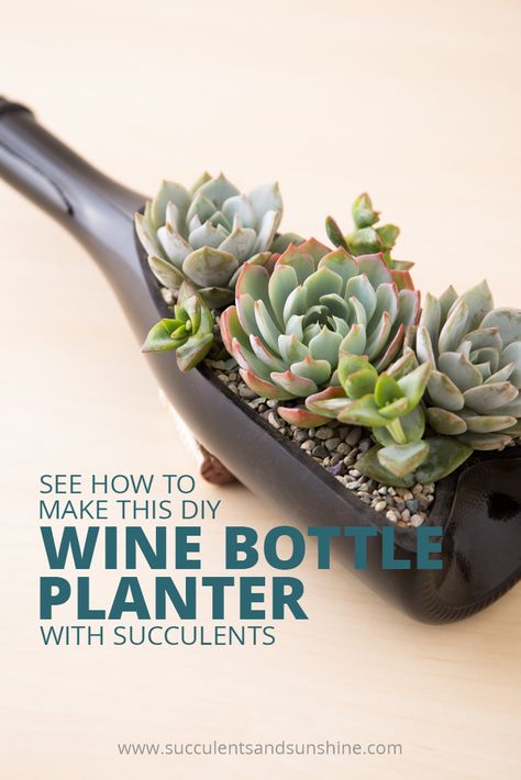 I totally want to do this!!! Learn how to make your own succulent wine bottle planter! Unique Bottles, Wine Bottle Planter, Diy Wine Bottle, Wine Bottle Project, How To Water Succulents, Modern Planter, Succulent Garden Diy, Wine Bottle Art, Wine Bottle Diy Crafts