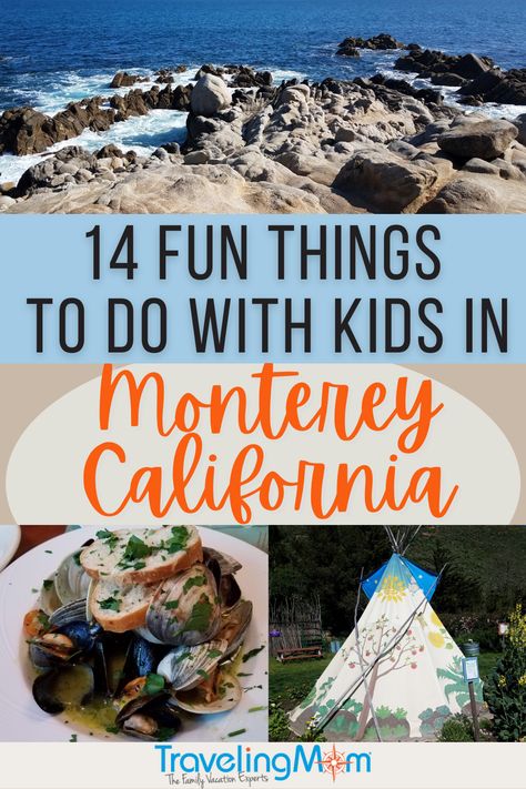 Monterey California With Kids, Monterey Beach, Monterey Bay California, California With Kids, Baby Otter, Usa Destinations, Monterey Bay Aquarium, Monterey California, Canada Destinations