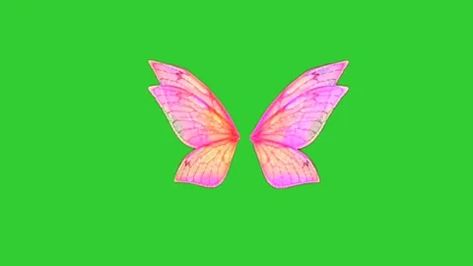 Wings Green Screen, Animated Wings, Video Free, Fairy Wings, Green Screen, Stock Video, Stock Footage, Free Download, Screen