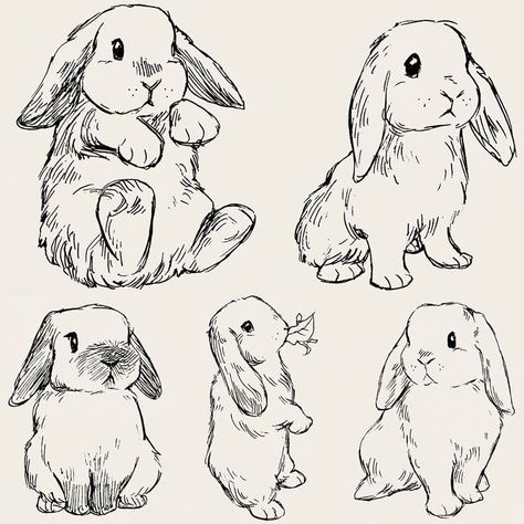 Bunny Reference, Bev Johnson, Bunny Sketches, Bunny Tattoos, Art Drawing Sketch, Rabbit Tattoos, Bunny Drawing, Bunny Art, Arte Sketchbook