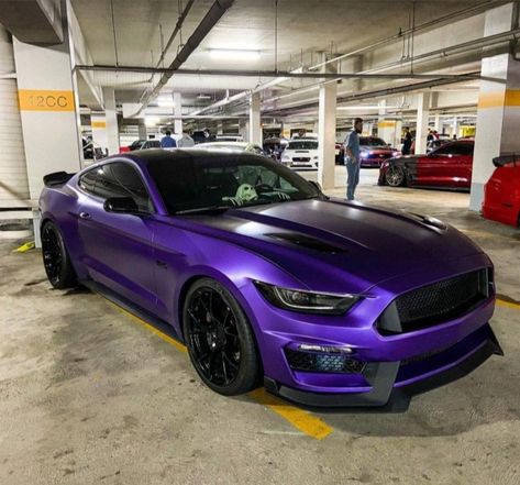 Mustang Wraps, Wrapped Mustang, Mustang Purple, Mustang Wrap, Purple Car Wrap, Purple Mustang, Mustang Car, Purple Car, Super Fast Cars