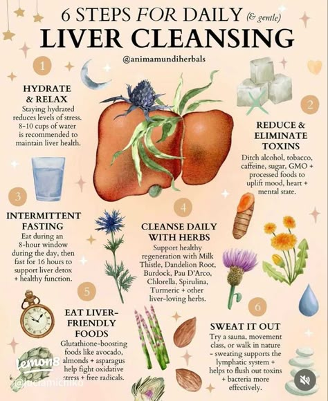 Cleanse Your Liver ✨🍋 | Gallery posted by Luci Amichiko | Lemon8 دورة شهرية, Medical Herbs, Magia Das Ervas, Routine Checklist, Resep Diet, Natural Healing Remedies, Herbal Healing, Home Health Remedies, Herbs For Health