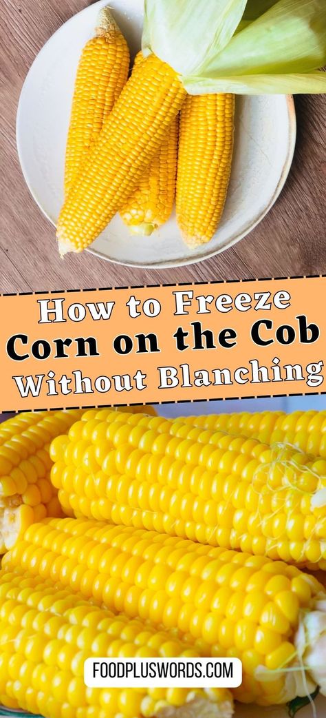 Freezing Corn Recipes, How To Freeze Corn, Freezing Fresh Corn, Freezing Vegetables, Canning Vegetables, Recipe For Freezing Corn On The Cob Blanching Corn, Frozen Sweet Corn Recipe, Freezing Corn On The Cob, Freezing Fresh Corn, Freezing Corn, Canning Corn, Shucking Corn, Sweet Corn Recipes, Preserving Vegetables