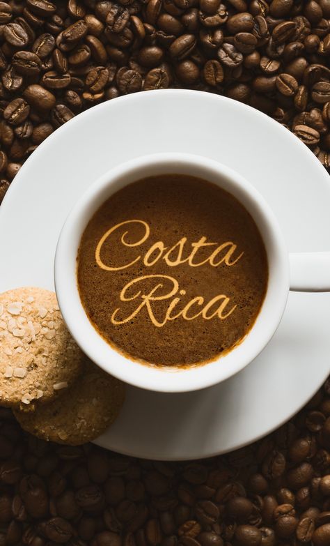 ❤️💙 Mission Discovery is thrilled to be adding Costa Rica to our mission trip options in 2024! Here are some of our favorite things about Costa Rican culture: 1. The warm and welcoming Ticos and Ticas 🕺🏽💃🏽 2. The “Pura Vida” lifestyle 🇨🇷 3. The COFFEE ☕️ 4. The yummy food 🍌 5. The ADORABLE wild life Send us a direct message if you want to learn more about our 2024 trip to Costa Rica and the ministry partners we will be serving with! ¡Pura Vida! 🇨🇷 Coffee Costa Rica, Trip To Costa Rica, Mission Trip, Costa Rican, Missions Trip, Wild Life, The Coffee, Costa Rica, Favorite Things