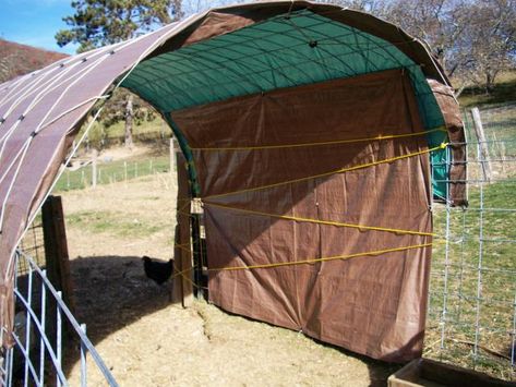 Diy Hay Storage, Hay Storage Ideas, Costco Carport, Sheep Shelter, Horse Items, Bales Of Hay, Hay Storage, Barn Stalls, Cattle Panels