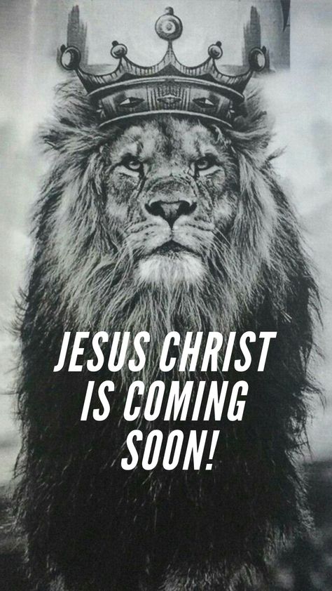 He Is Coming Soon, Deliverance Scriptures, Jesus Coming Soon, Jesus Is Coming Back, Jesus Is Coming Soon, Jesus Coming Back, Joy Boy, Study Topics, Truth Serum