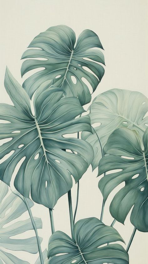 Wallpaper monstera backgrounds drawing sketch. | free image by rawpixel.com / Wan Monstera Phone Wallpaper, Green Foliage Wallpaper, Plants Illustration Wallpaper, Leaves Drawing Wallpaper, Monstera Background, Wallpaper Medicine, Pastel Green Wallpaper, Phone Wallpaper Themes, Backgrounds Drawing