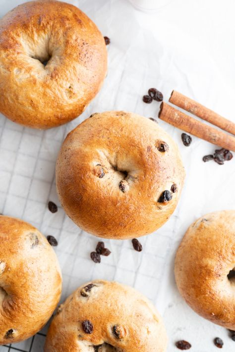 Aerial view of homemade cinnamon raisin bagels spread on the counter. Best Bagel Recipe, French Toast Bagel Recipe, Bagels Recipe Homemade, Cinnamon Bagel, Cinnamon Raisin Bagels, How To Make Raisins, Types Of Bagels, Raisin Bagels, Cinnamon Bagels