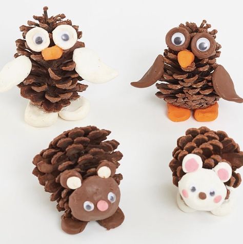 Pine Cone Hedgehog, Inspiration For Teachers, Pine Cone Crafts For Kids, Spring Flower Art, Cones Diy, Christmas Wreath Craft, Autumn Craft, Cone Crafts, Pine Cone Art