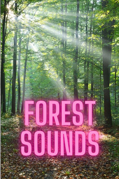 Nature sound 2 minute, Forest birds sounds, Forest sounds Birds Sounds, Relaxing Forest, Free Sound Effects, Bird Sounds, Forest Birds, Forest Sounds, Birds Chirping, Birds Singing, Moving Backgrounds