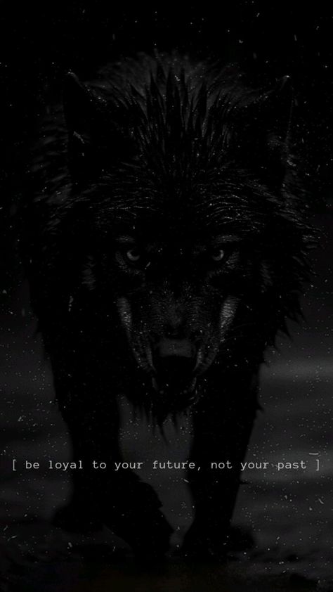 Lone Wolf Aesthetic, Lone Wolf Wallpaper, Wolf Wallpaper Aesthetic, Feelings Wallpaper, Wolf Sheep, Cosmic Quotes, Lonely Wolf, Wolf Aesthetic, Lone Wolf Quotes