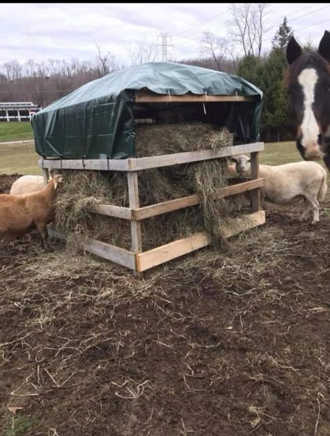 Diy Round Bale Hay Feeder For Horses, Large Bale Hay Feeder, Pallet Round Bale Feeder, Goat Round Bale Hay Feeder, Round Bale Hay Feeder Diy, Round Bale Storage, Horse Round Bale Feeder, Diy Round Bale Feeder, Diy Horse Hay Feeder