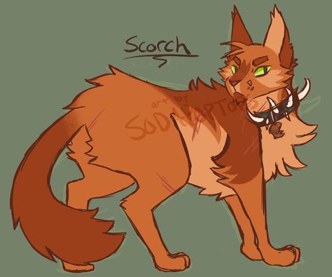 Warrior Cat Designs, Warrior Cat Memes, Warrior Cats Series, Warrior Cats Fan Art, Warrior Cat Drawings, Love Warriors, Warrior Cat Oc, Cat Oc, Warrior Cats Art