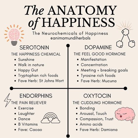 Modrn Sanctuary on Instagram: “Good news 📰! Happiness comes from the inside, and here are a few ways to balance up with those neurochemicals that can help you feel happy.…” Happiness Chemicals, Evolutionary Biology, Happy Gut, Vie Motivation, Mental And Emotional Health, Self Care Activities, Better Me, Mental Wellness, Self Improvement Tips