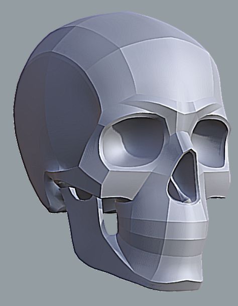 Skull 3/4 View, Skull Proportions, Skull Structure, Villain Oc, Skull Study, Female Skull, Study Pack, Human Anatomy Reference, Skull Anatomy