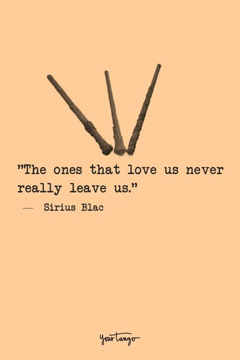 harry potter quotes, harry potter fans make better friends Quotes From Books And Movies, Harry Potter Senior Quotes, Better Together Quotes, Harry Potter Quotes Aesthetic, Short Harry Potter Quotes, Cute Book Quotes, Best Harry Potter Quotes, Quotes From Harry Potter, Best Quotes For Life