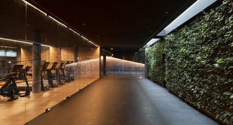 Biophilic Design Interiors, Botanical Interior, Home Gym Garage, Members Club, Gym Facilities, Gym Interior, Meditation Area, Residential Development, Biophilic Design