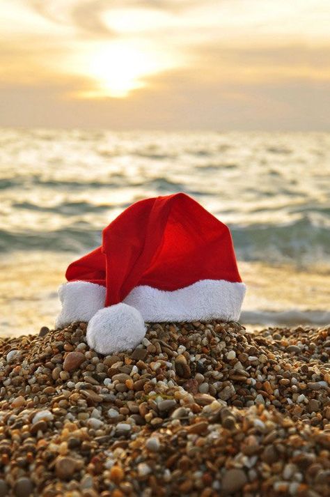 Christmas Beach Photos, Aussie Christmas, Florida Christmas, Beachy Christmas, Nautical Christmas, Beach Santa, Tropical Christmas, Beach Christmas, Christmas Photography