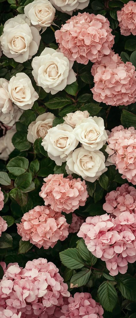 Hydrangeas Wallpaper Iphone, Aesthetic Roses Wallpaper, Flower Wallpaper Ipad, Phone Inspiration Layout, Wallpaper Aesthetic Iphone Lockscreen Pink, Flower Ipad Wallpaper, Iphone Wallpaper Girly Lockscreen, Lockscreen Flower, Rose Wallpaper Iphone