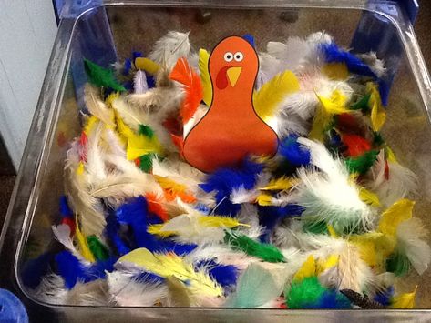 November sensory bin - students poke feathers into the attached cup behind the turkey. Feather Sensory Bin, Thanksgiving Dinner Sensory Bin, Pilgrims Sensory Table, Feather Activities For Toddlers, Thanksgiving Sensory Bin, Turkey Feather Project Kindergarten, Thanksgiving Sensory, Thanksgiving Prek, Kindergarten Sensory