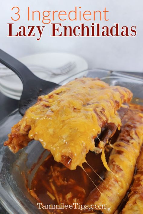 Enchilada Casserole Crockpot, Taquito Enchilada Casserole, Taquito Enchiladas, Lazy Enchiladas, Lazy Lasagna Recipe, How To Make Enchiladas, Casserole Crockpot, 3 Ingredient Dinners, Taquitos Recipe