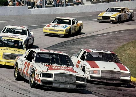 (1983) Bobby Allison leads the pack at Martinsville Speedway in his #22 Miller High Life Buick Regal. Martinsville Speedway, Miller High Life, Fast Bikes, Buick Regal, Pitbull Puppies, High Life, Stock Car, The Pack, Hot Cars