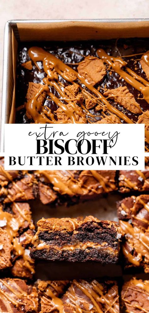 These fudgy Biscoff brownies are packed with Biscoff flavor! Made with my favorite fudgy chocolate brownie base, a layer of gooey cookie butter, and Biscoff cookies on top. You only need 12 ingredients to make these cookie butter brownies! Biscoff Cheesecake Brownies, Biscoff Cookie Cupcakes, Biscoff Millionaire Bars, Cookie Dessert Ideas, Caramel Brownie Bites, Best Ever Cookies Recipes, Biscoff Cookies Desserts, Ghiradelli Brownie Recipes, Cookies With Toppings