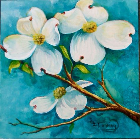 White Dogwood on Claybord with Acrylics by CLTonning Flower Screensaver, Dogwood Flower, Dogwood Trees, Dogwood Flowers, The Natural World, Watercolor Flowers Paintings, Learn Art, Flower Art Painting, Ink Illustrations