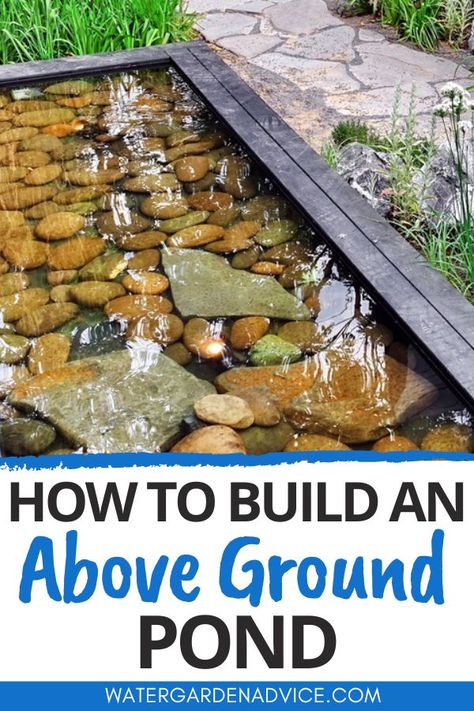 above ground pond Above Ground Pool Fish Pond, Shallow Pond Ideas, Small Above Ground Pond Ideas Diy, Above Ground Fish Pond Ideas, Raised Water Feature, Deck Pond Ideas Patio, Pond Water Features Fountain Ideas, Koi Pond Above Ground, Diy Patio Pond With Fish