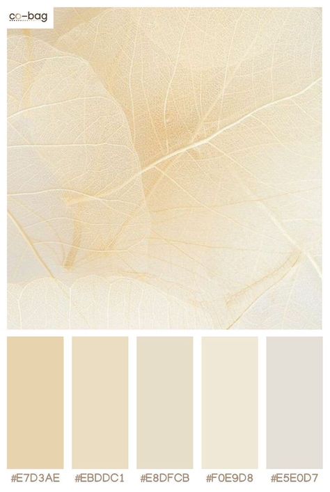 Cream Aesthetic Color Palette, White Beige Bedroom Aesthetic, Ivory And Gold Color Palette, White And Gold Colour Palette, Muted Gold Color Palette, Ivory Color Palette Colour Schemes, Creamy White Color Palette, Cream Color Palette Colour Schemes, Beige And Gold Color Palette