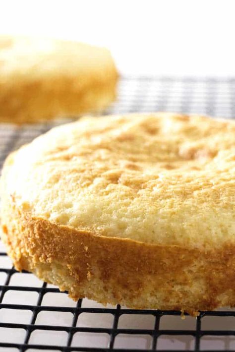 An all-butter yellow cake recipe that makes a double layer 6 inch cake. #cake #yellowcake #6inchcakerecipe #6inchyellowcake #cakerecipe #allbuttercake #cakefromscratch #yellowcakefromscratch #savorthebest One Layer Yellow Cake Recipe, 6 Inch Layer Cake Recipe, Small Yellow Cake Recipe, Small Batch Yellow Cake, One Layer Cake Recipe, Single Layer Yellow Cake Recipe, 6 Inch Yellow Cake Recipe, 6inch Cake Recipe, Small Yellow Cake